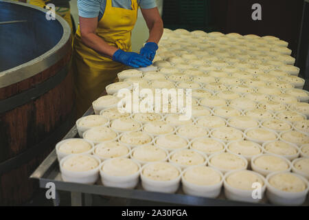 Käser bilden Produkt auf eine Fabrik. Stockfoto