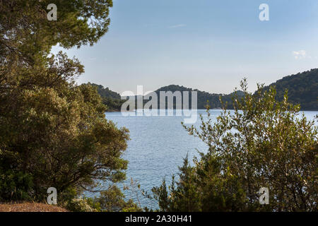 Die geschützte und schöne Bucht von velji Lago, Lastovo, Dubrovnik-Neretva, Kroatien Stockfoto