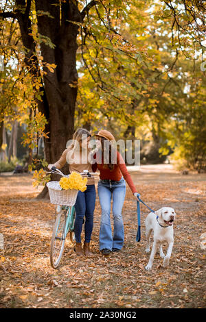 Zwei junge weibliche Freunde zu Fuß in den gelben Herbst park mit Hund und Fahrrad Stockfoto