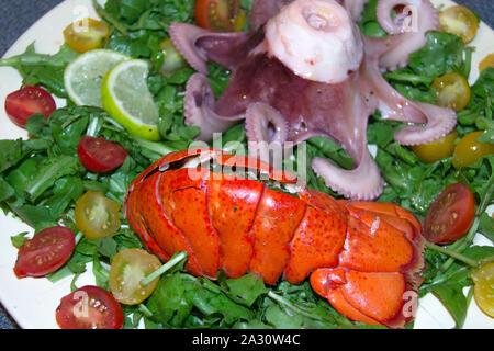 Gekochten Tintenfisch und Hummerschwanz mit Salat auf einen Teller. Sea Food Gericht. Stockfoto