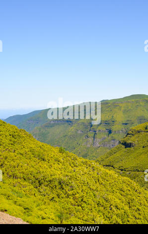 Schönen Lorbeerwald in der Nähe von Rabacal auf Paul da Serra Plateau auf der Insel Madeira, Portugal. Laurisilva von Madeira ist Teil des UNESCO-Weltnaturerbes. Levada 25 Fontes Trail. Touristische Attraktion. Stockfoto