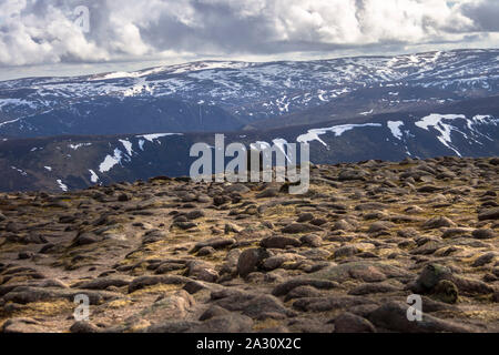 Ansicht der Cairngorms und Lochnagar vom Berg wollte in Angus, Schottland, Großbritannien Stockfoto