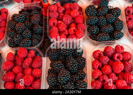 Frisches Obst für Verkauf am Kauppatori Marktplatz in der Innenstadt von Helsinki, Finnland. Stockfoto