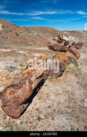 Eine lange versteinerter Baum liegt auf einem felsigen Hügel im Jasper Forest gebrochen. Petrified Forest National Park, Arizona Stockfoto