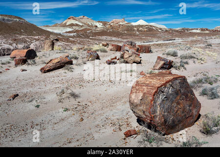 Große versteinertes Holz und Logs aufgebrochen und Lügen rund um die Jasper Forest verstreut. Petrified Forest National Park, Arizona Stockfoto