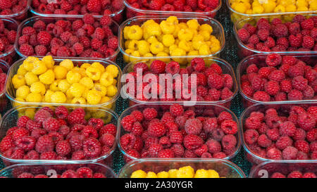 Frisches Obst für Verkauf am Kauppatori Marktplatz in der Innenstadt von Helsinki, Finnland. Stockfoto