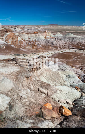 Stück versteinertes Holz liegen um die Badlands Hügel von Blue Mesa verstreut. Petrified Forest National Park, Arizona Stockfoto