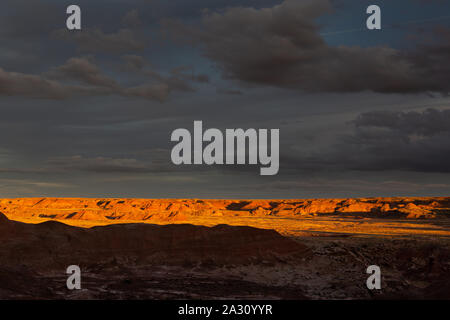 Die Badlands Hügeln der Painted Desert Wilderness Area, bei Sonnenuntergang mit goldenem Licht beleuchtet. Petrified Forest National Park, Arizona Stockfoto