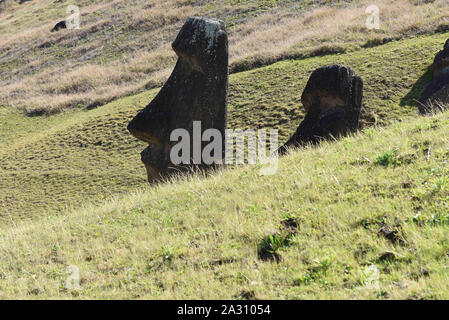 Die Osterinsel, Chile. 20 Sep, 2019. Moais auf der äußeren Hängen des Rano Raraku vulkanischen Krater gesehen. Moais sind monolithische menschliche Figuren, welche die Vorfahren vertreten. Sie wurden durch die Rapa Nui Menschen bei Rano Raraku, der moai Steinbruch auf der Osterinsel im östlichen Französisch-polynesien zwischen den Jahren 1250 und 1500 zeitgleich mit der Ankunft der Polynesier auf der Insel geschnitzt. Die meisten von ihnen wurden von dort transportiert und auf Stein Plattformen genannt Ahu um den Umfang der Insel. Quelle: John milner/SOPA Images/ZUMA Draht/Alamy leben Nachrichten Stockfoto