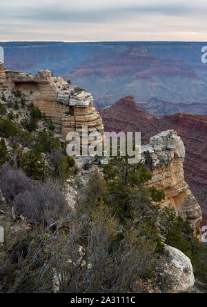 Verschiedene Formen von Bäumen und Vegetation wächst unter den Südrand des Grand Canyon entlang der Rim Trail. Grand Canyon National Park, Arizona Stockfoto