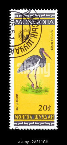 Storniert Briefmarke durch die Mongolei gedruckt, der Schwarze Storch, circa 1985. Stockfoto