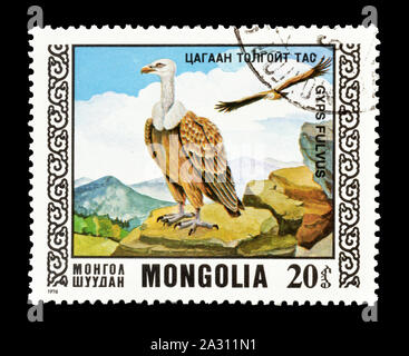 Storniert Briefmarke durch die Mongolei gedruckt, das zeigt, Gänsegeier, circa 1976. Stockfoto