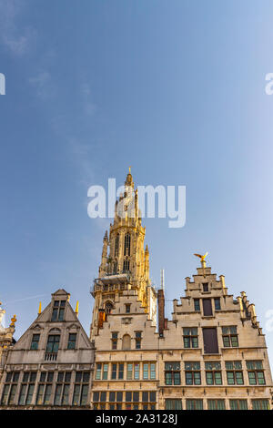 Kathedrale Notre Dame Fassade unter Renovierung im Grand Marktplatz, Antwerpen, Belgien Stockfoto