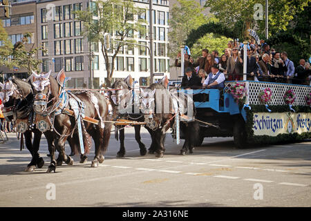 München, Deutschland - 22. SEPTEMBER 2019 Grand Eintrag des Oktoberfestes Vermieter und Brauereien, festliche Parade des prachtvollen gestalteten Wagen und Verbot Stockfoto