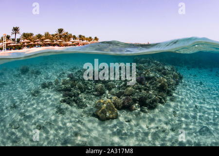 Split shot, Makadi Bay, Ägypten Stockfoto