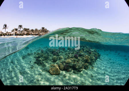 Split shot, Makadi Bay, Ägypten Stockfoto