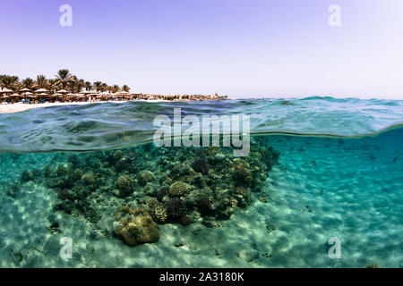 Split shot, Makadi Bay, Ägypten Stockfoto