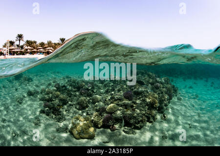 Split shot, Makadi Bay, Ägypten Stockfoto