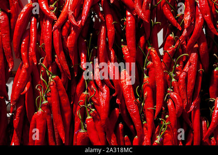 Pimentoes Stockfoto