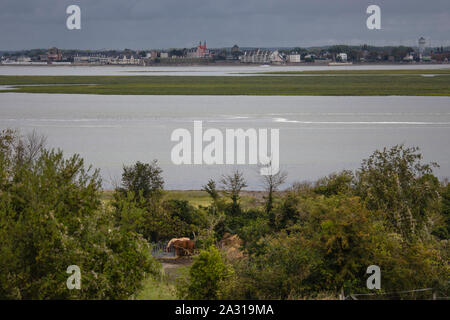 La Baie de Somme vue de la Chapelle des Marins, Le Chemin vers Le Cap Hornu absteigen, Les Chevaux dans un Enclos au Soleil. grande Marée. Stockfoto