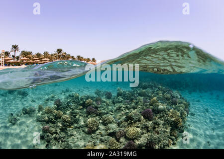 Split shot, Makadi Bay, Ägypten Stockfoto