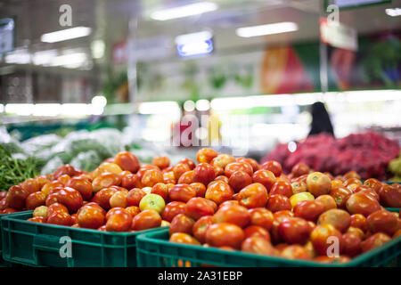 Die Tomate ist die essbare, oft rote Beere der Pflanze Solanum lycopersicum, die allgemein als Tomatenpflanze bekannt ist. Stockfoto