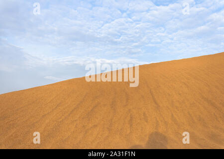 Die Cholistan-Wüste, lokal auch als Rohi bekannt, erstreckt sich 30 km von Bahawalpur, Punjab, Pakistan und erstreckt sich über eine Fläche von 16.000 km². Stockfoto