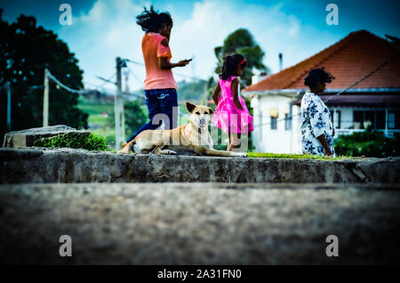 Straße Hund von Sri Lanka sitzen auf Wall Wand von Galle Fort mit der Familie wandern im Hintergrund Stockfoto