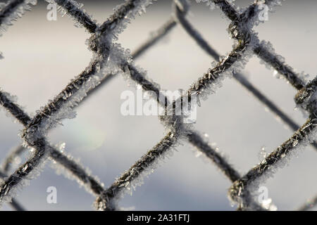 Gefrorene Zaun aus Metall Gitter mit Frost Kristallen bedeckt, eine frühe sonnigen kalten Morgen, auf einem verschwommenen Hintergrund. Close-up. Stockfoto