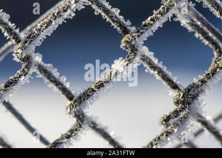 Gefrorene Zaun aus Metall Gitter mit Frost Kristallen bedeckt, eine frühe sonnigen kalten Morgen, auf einem verschwommenen Hintergrund. Close-up. Stockfoto