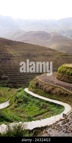 Fußweg an der Reisterrassen in Longshen China Stockfoto