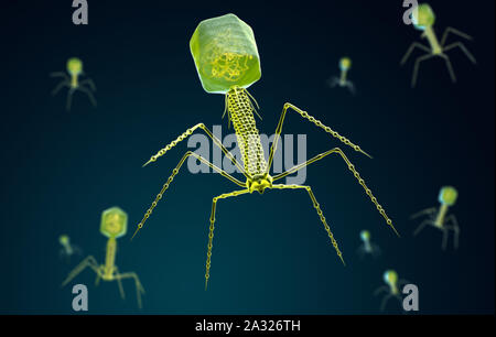 Stilisierte Darstellung von einem bakteriophage. 3D-Darstellung Stockfoto