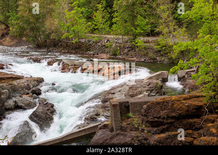 Stempel Falls Provincial Park Rapids Stockfoto