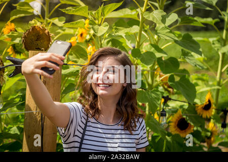 Eine hübsche junge Tausendjährigen brünette Frau, eine selfies neben einem sonnenblumenfeld. Stockfoto