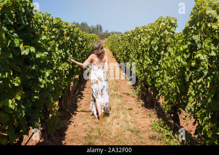 Schuss eine attraktive junge blonde Frau in einem weißen Sommerkleid tanzen und gerne Spinnen durch Reihen von Weintrauben. Stockfoto