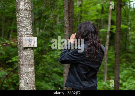 Eine professionelle männliche Fotograf mit langem schwarzen Haar ist im Wald gesehen, ein Schwarz Denim Jacket Da fotografiert er ein geistliches Zeichen auf einen Baum. Stockfoto