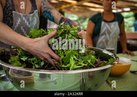 Eine Nahaufnahme auf die Hände von einer weißen Frau mit einem tätowierten Arm, Zubereitung von gesunder Nahrung zu einem Wald retreat Förderung gesunder Körper und Geist. Stockfoto
