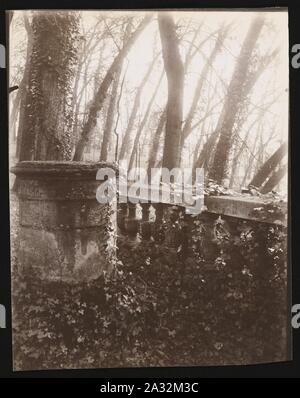 Eugène Atget, Park von Saint-Cloud, Paris, 1924. Stockfoto