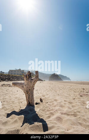 Der Strand und die felsigen Klippen der Küste von Oregon in der Nähe von Lincoln City. Stockfoto