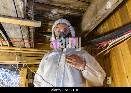 Eine Nahaufnahme und vordere Porträt eines Mannes, das Tragen von PSA (persönliche Schutzausrüstung) in einem Keller, die während einer Inspektion für schwarze Sporen & strukturelle Mängel. Stockfoto