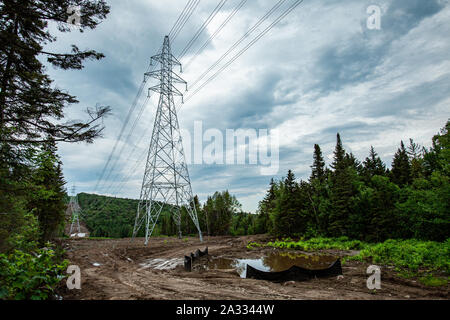 Industrie vs Natur nebeneinander in einer Waldlichtung mit hohen Sendemasten, Stromleitungen und grüne Bäume gesehen wird, mit copy-Platz. Stockfoto