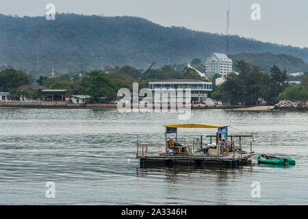 Si Racha, Thailand - März 16, 2019: Nahaufnahme von Fischen floss Schwimmen auf Bucht von Thailand Wasser mit der Stadt und einigen weißen Gebäuden und bewaldeten Hil Stockfoto