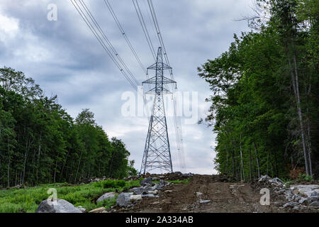 Eine niedrige Winkel und weite Aussicht von einem hohen Stahl Elektrische übertragung Turm mit dicken Wald auf jeder Seite, Overhead-Kabeln zu Querlenker befestigt. Stockfoto