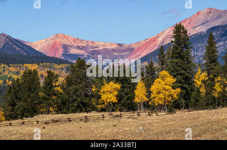 Aspen Bäume Farbe drehen in Kenosha Pass, Colorado USA September 2019 Stockfoto