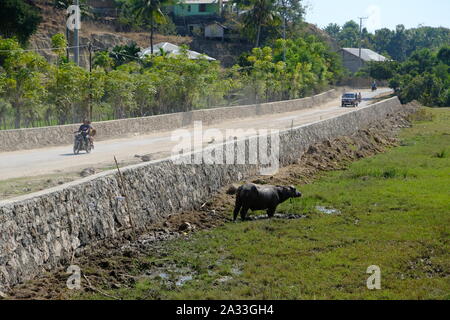 Indonesien Sumba Insel Waingapu Landschaft Blick auf einer Landstraße Stockfoto