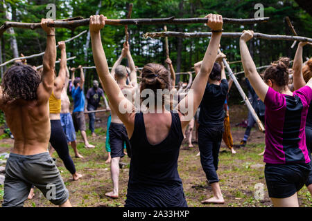 Eine gemischte Gruppe von Menschen gesehen werden zusammen in einer Waldlichtung, wie sie der Praxis bewusst Tai Chi Übungen, holding Sticks über ihren Köpfen. Stockfoto