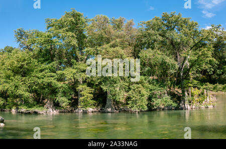 Guadalupe River State Park in Texas Stockfoto