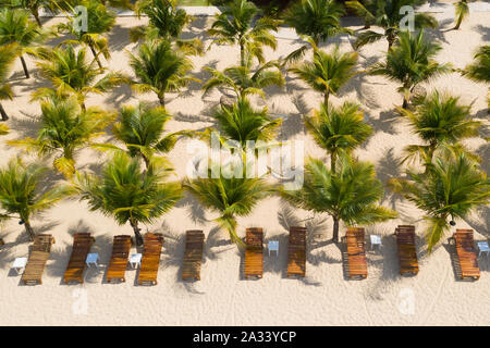 Luftaufnahme von wunderschönen Palmen am weißen Sandstrand Stockfoto