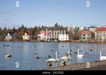 Teich in Reykjavik, Island Stockfoto