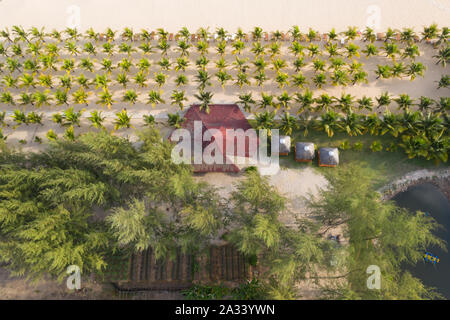 Schöne Antenne Landschaft von tropischen Palmen am Strand Stockfoto